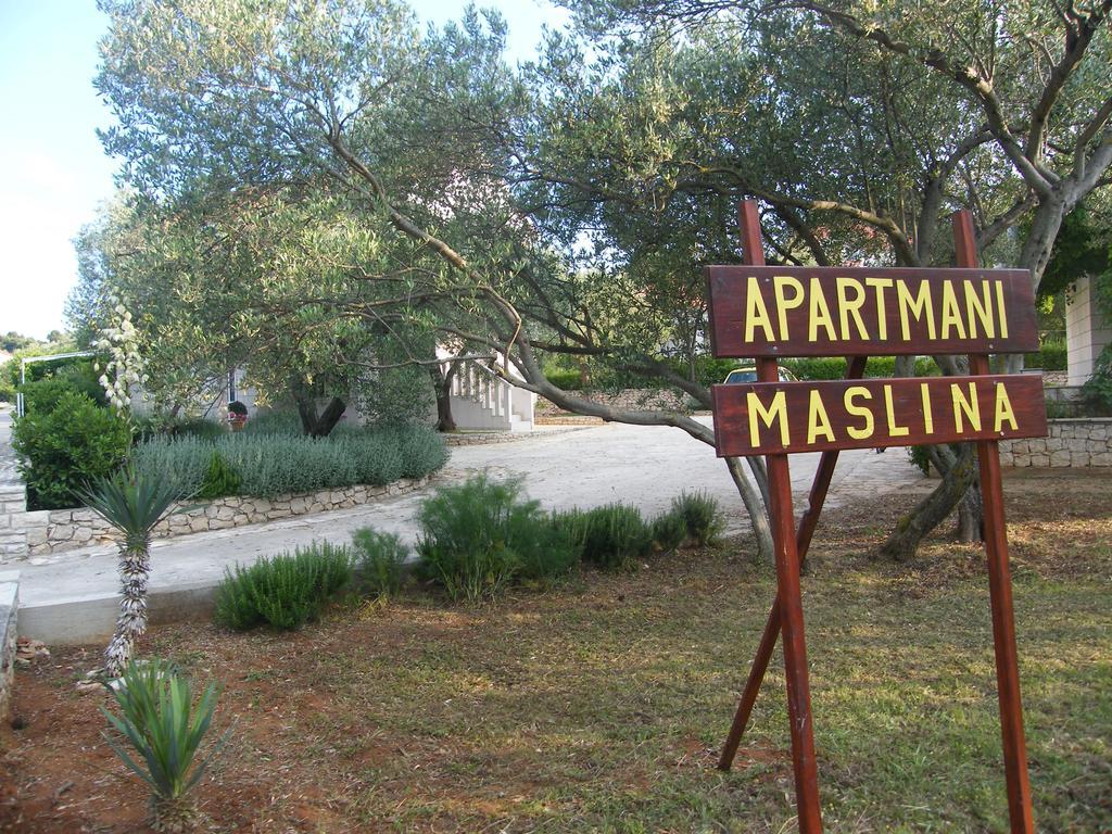 Apartments Maslina Lumbarda Zewnętrze zdjęcie